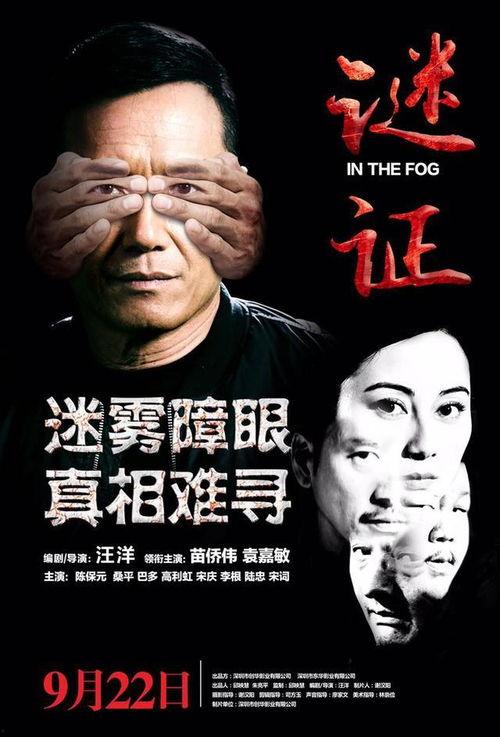 谜证电影 在线观看,在线观看，揭秘悬疑世界  第1张