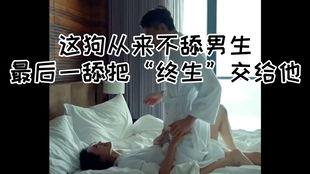 被舔的视频在线观看,被舔背后的故事与情感纠葛 第1张 被舔的视频在线观看,被舔背后的故事与情感纠葛 第1张